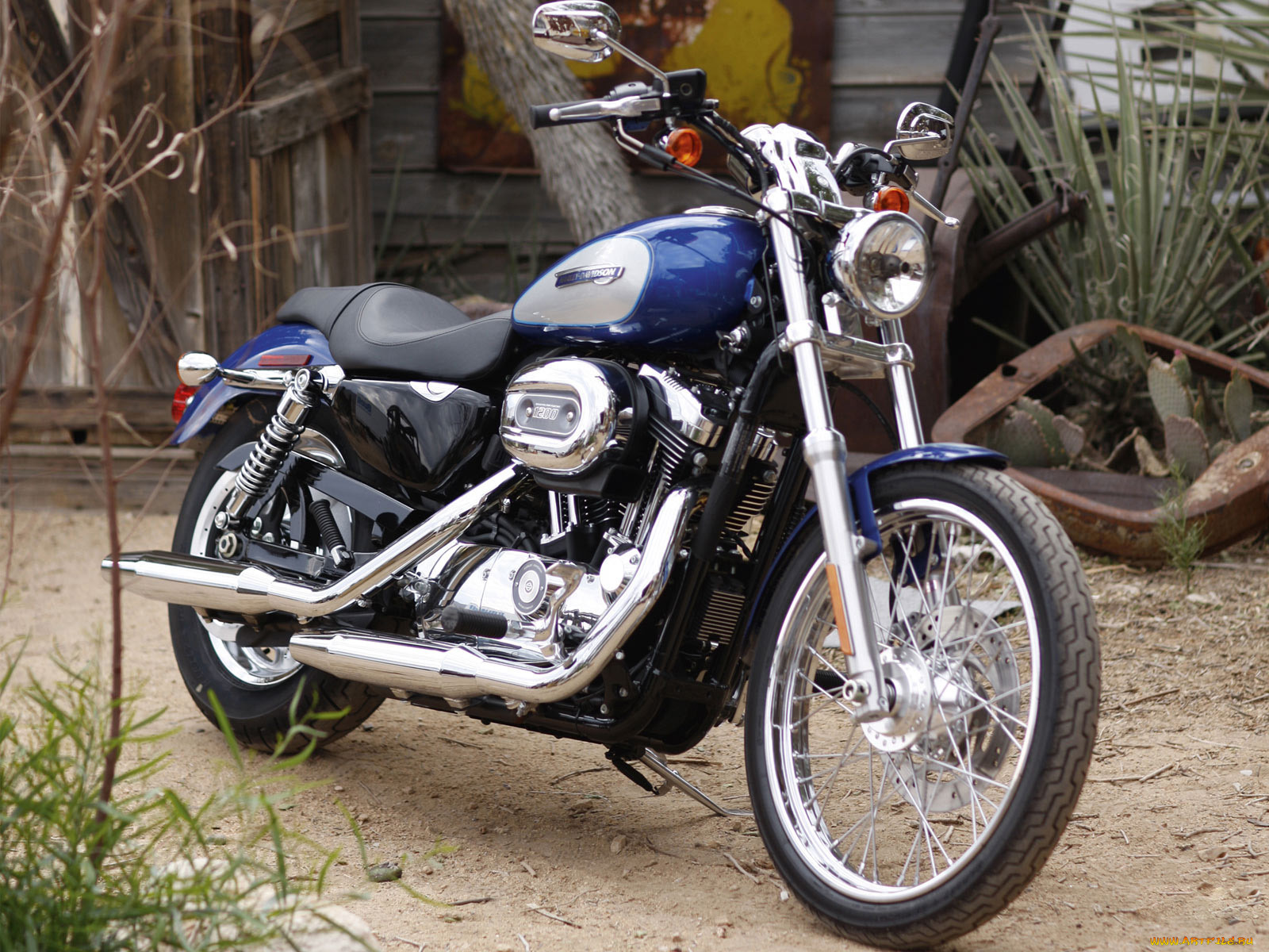 , harley, davidson
